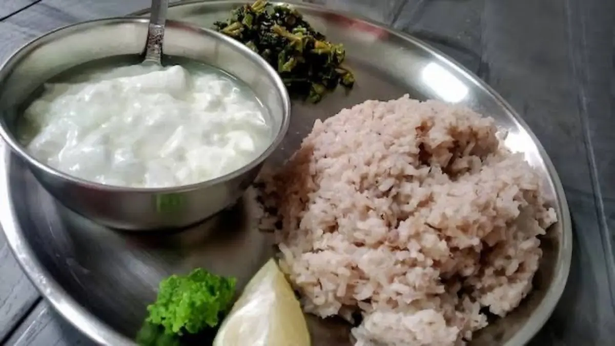 Hung Curd 101: Simple Techniques For Making This Versatile Ingredient