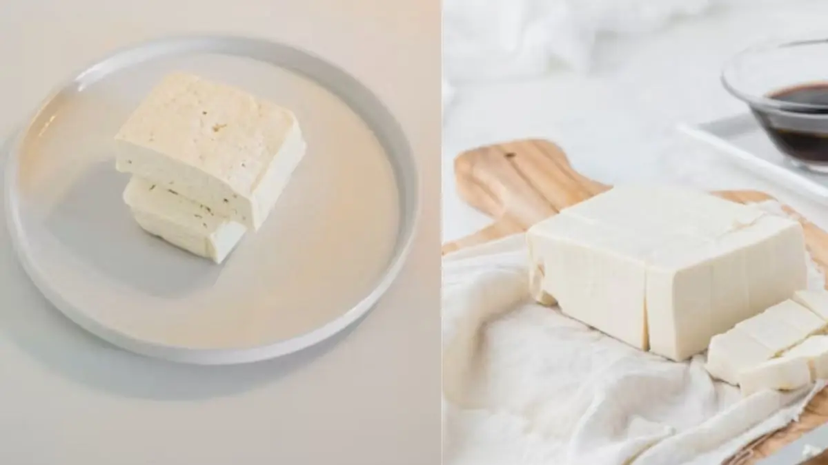 Is Tofu And Paneer the Same? Here’s The Real Difference