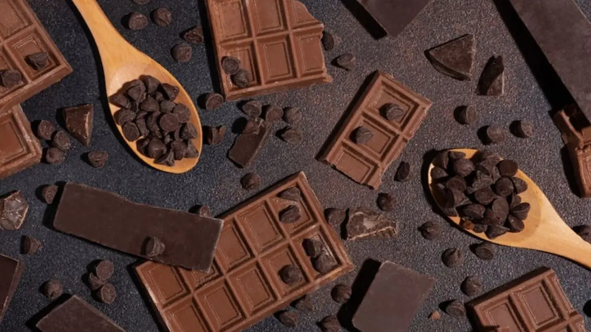 Step-By-Step Guide To Make Chocolate From Scratch For Beginners