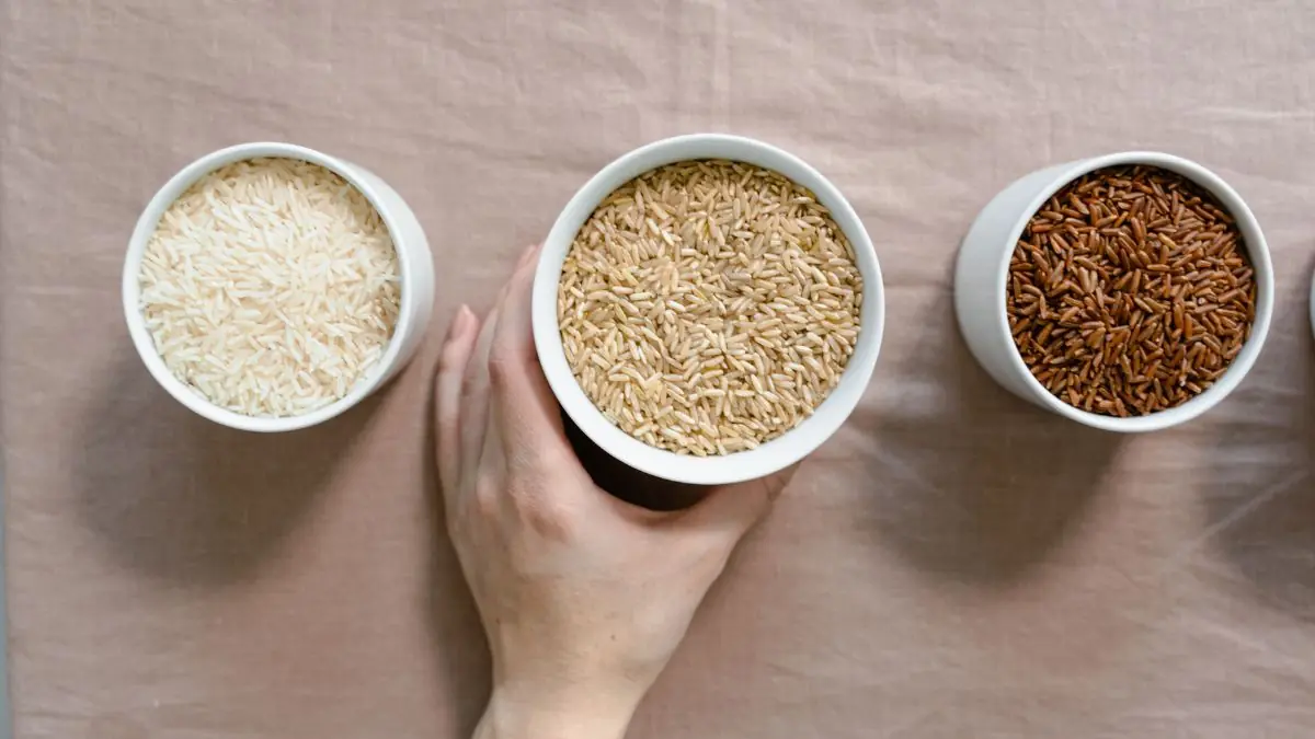 Brown Rice Vs White Rice: Which One Is Better?